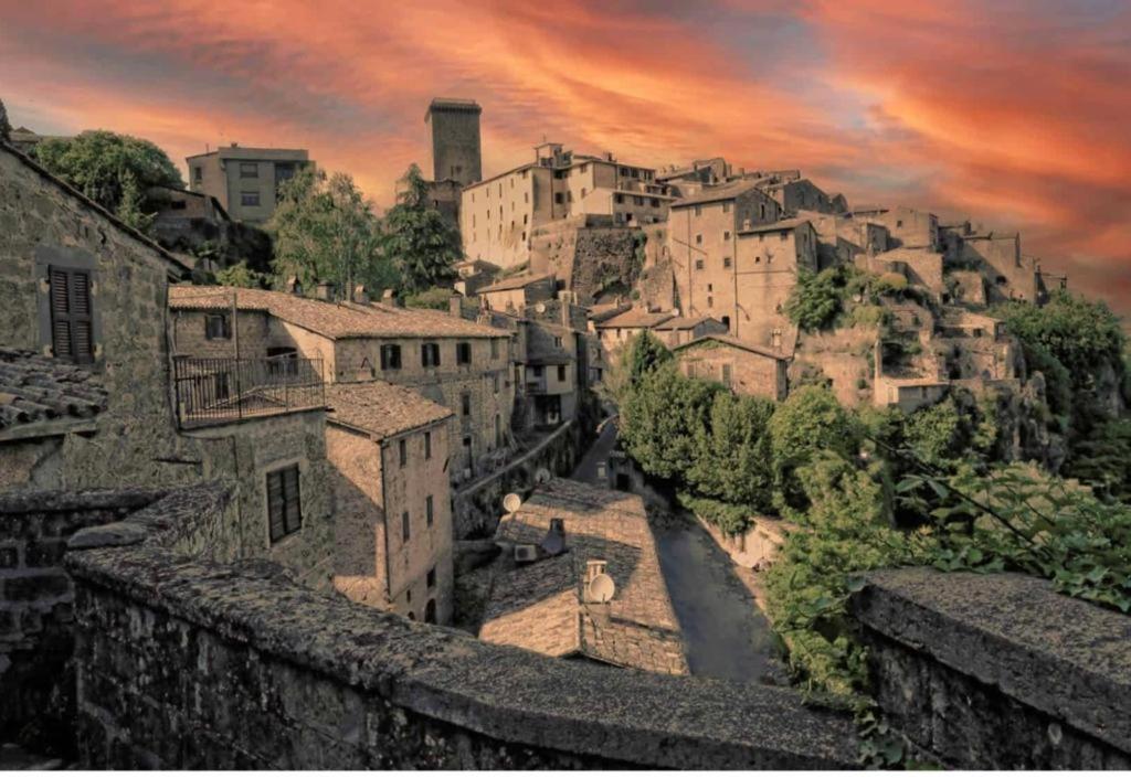 Cortile Nel Borgo Apartment Civitella d'Agliano Exterior photo
